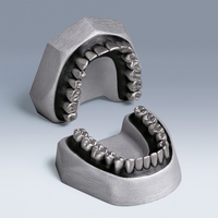 A-E M Extraction Typodont