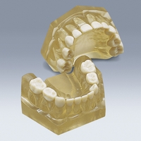AM-5-Pediatric-Demonstration-Model-SKU-40300148-frasaco