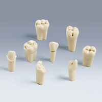 ANKA-4 ZP Pre-Prepared Click-StyleTeeth