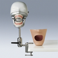 P-6/3 PT Premium Head with Bench Assembly