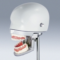 P-6/3 TSE Patient Simulator