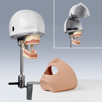 PK-1 PT Base Level Head with Bench Assembly