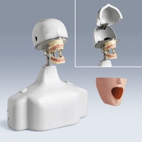 PK-1 TSE Base Level Head with Torso Assembly