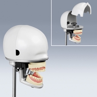 PK-2 PT Economical Head with Bench Assembly