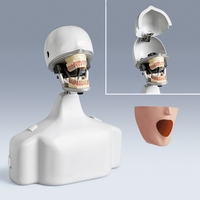 PK-2 TSE Economical Head with Torso Assembly